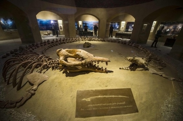 Egyiptomban megnyitották az ősmaradványok és a klímaváltozás múzeumát